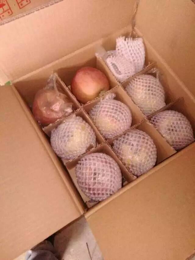 �����ƻ��