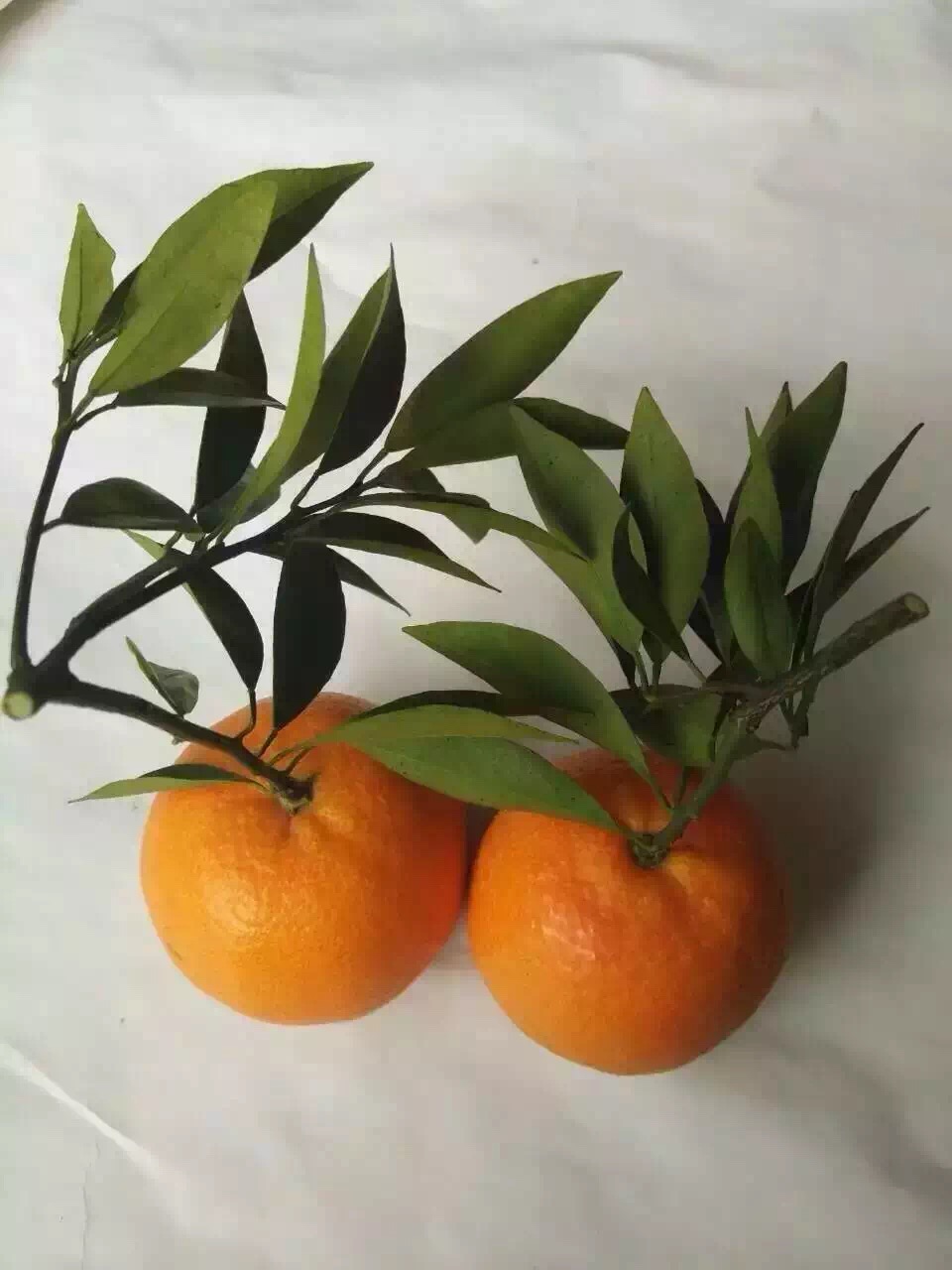 ���ʱ���