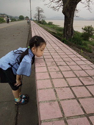 01.jpg