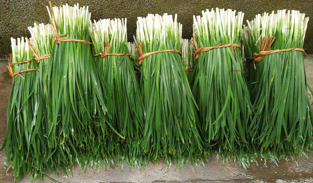 �Ѿ�ժ�ɾ��Ĳ�