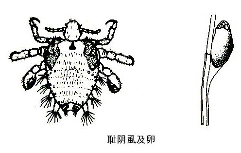 081855vjjbgcbzorl4jjsj.jpg