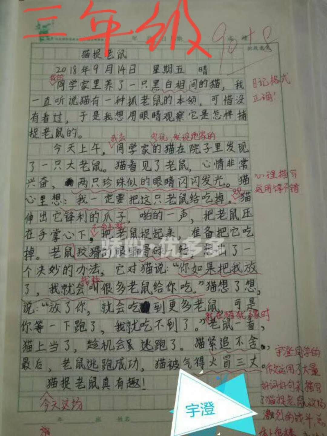 理解作文_作文:理解是一个慢慢的过程_我的理解作文