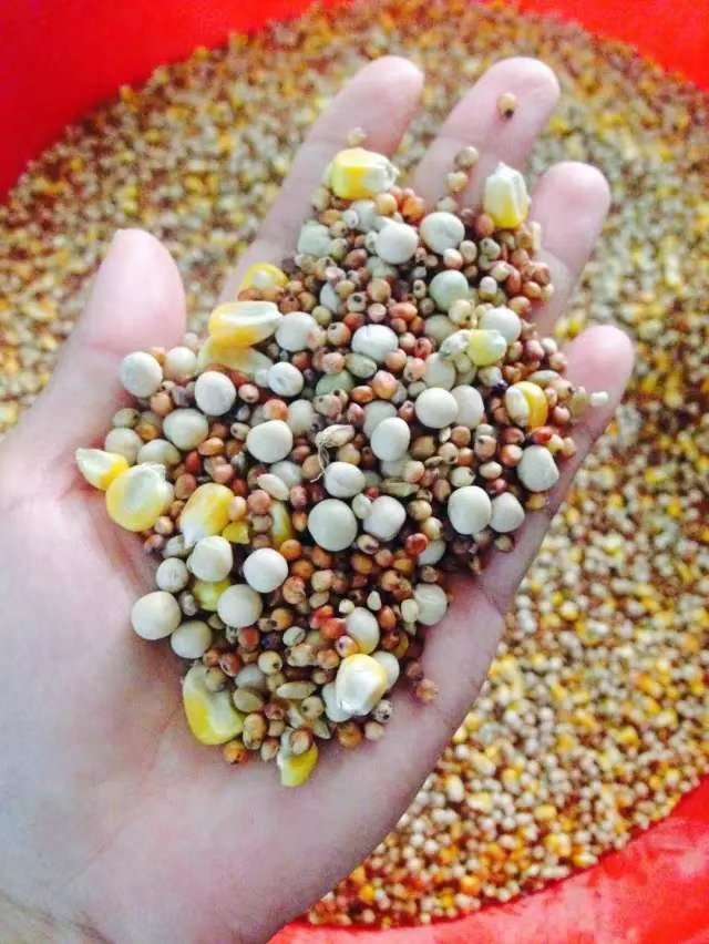 �������ι��