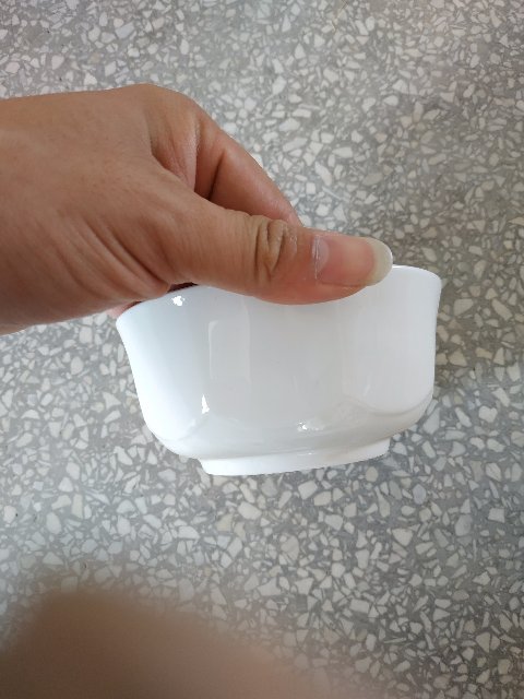 IMG_20190629_104827.jpg