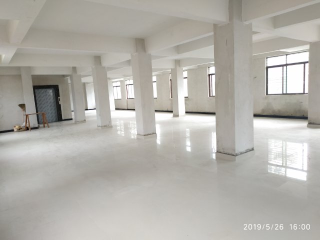 IMG_20190526_160051.jpg