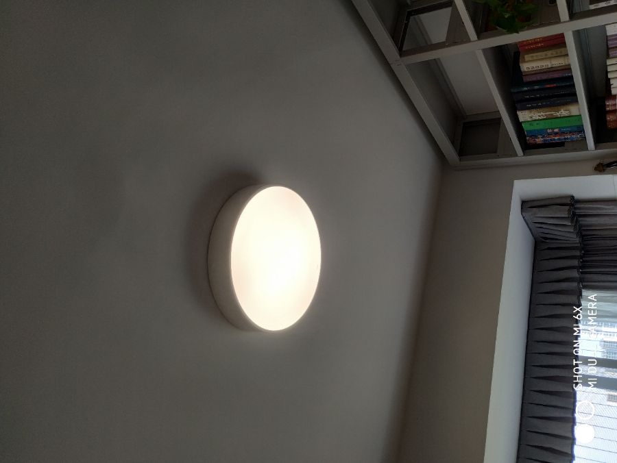 SG007_200419_151401.jpg