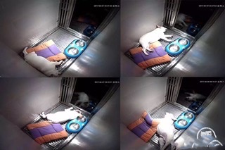 99250852-BC09-4953-8508-4ABF17C407E9.jpeg