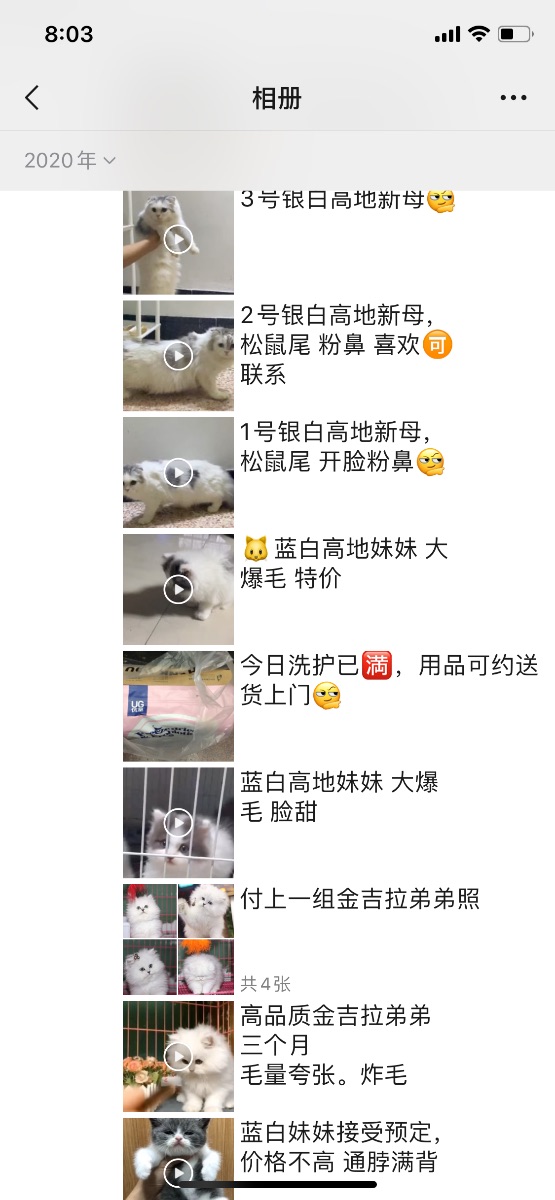 9B2638BA-F0C0-4F7B-A5D3-C2694122B81B.png