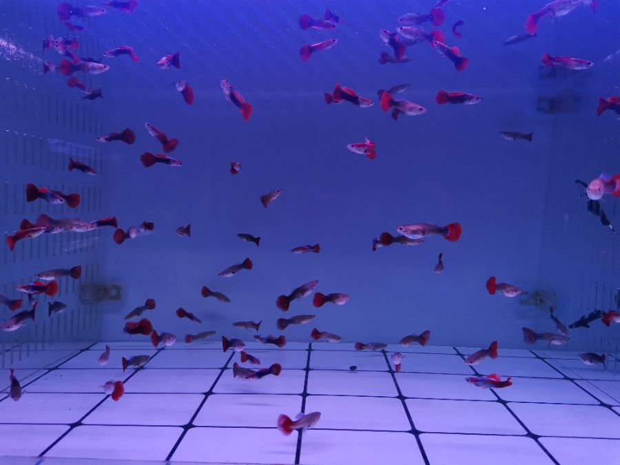 IMG_20201108_171157.jpg