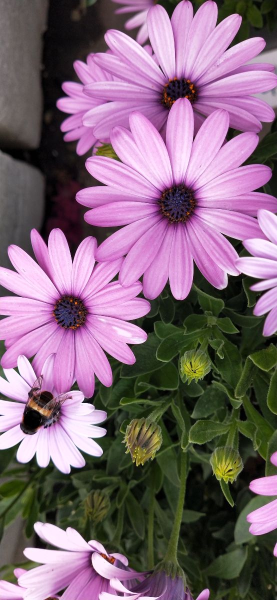 IMG20210217105455.jpg