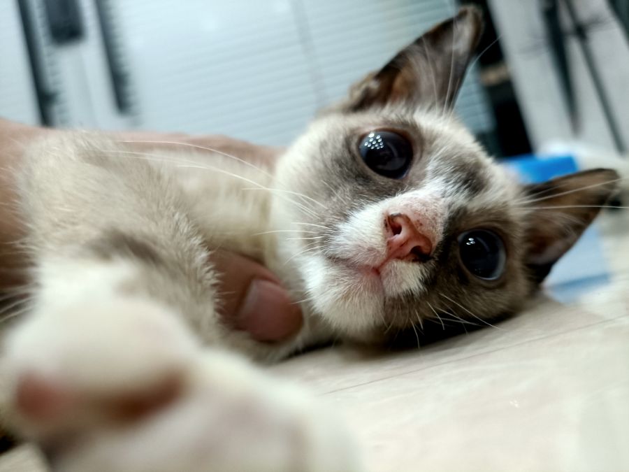 IMG20201213131226.jpg