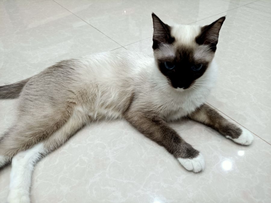 IMG20201213130707.jpg