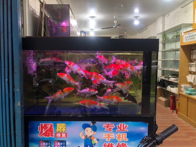 64B45190-D269-4158-B976-12AF338A2DDC.jpeg