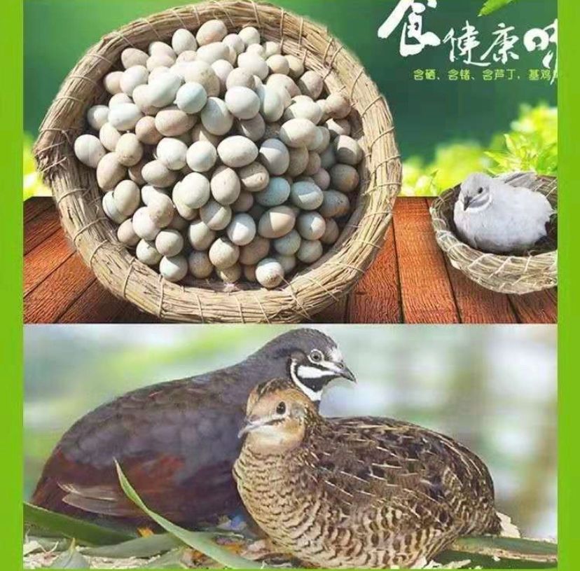 -1271407061.jpg