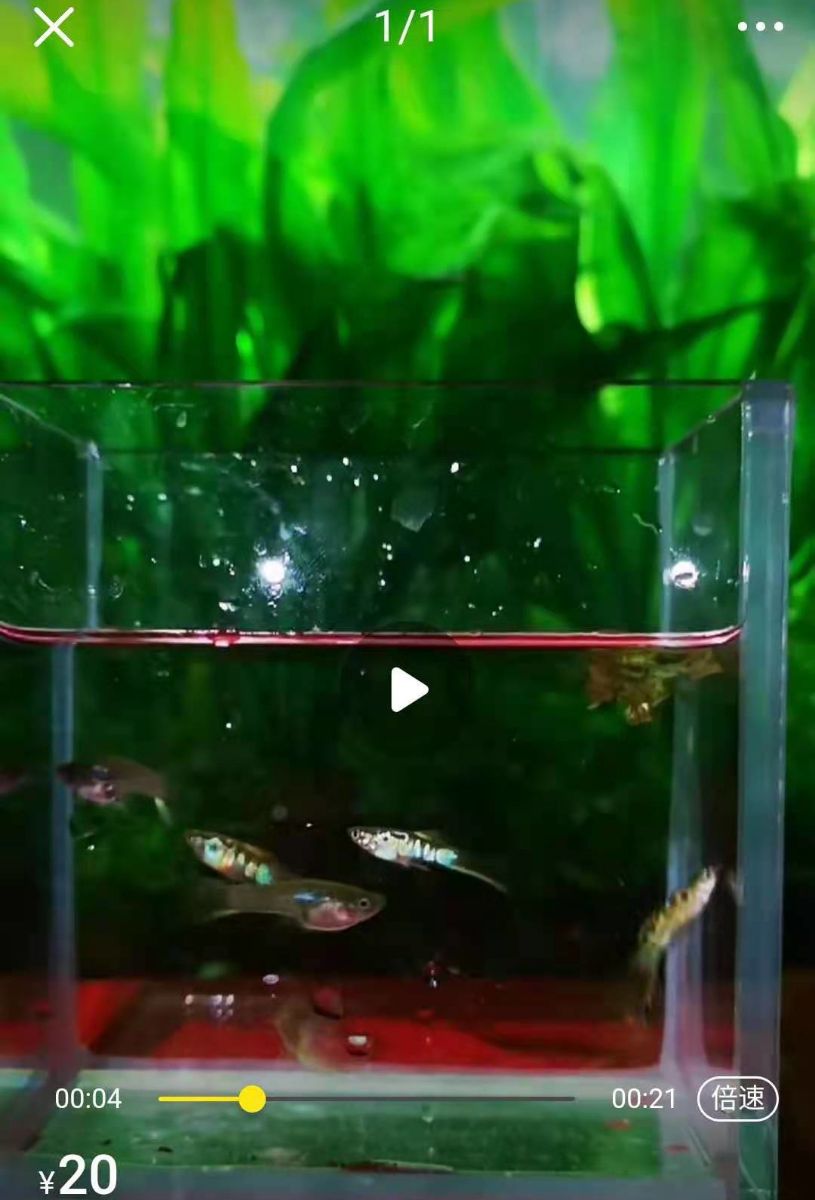 G_20210427191942_.jpg