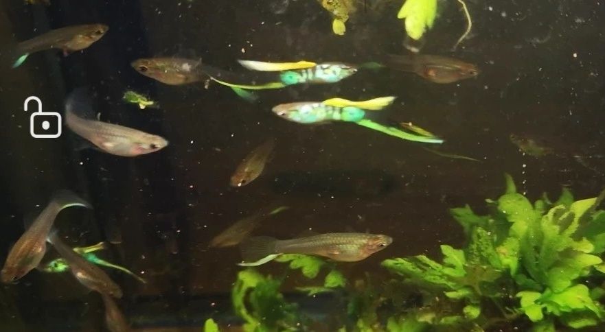 G_20210427191935_.jpg