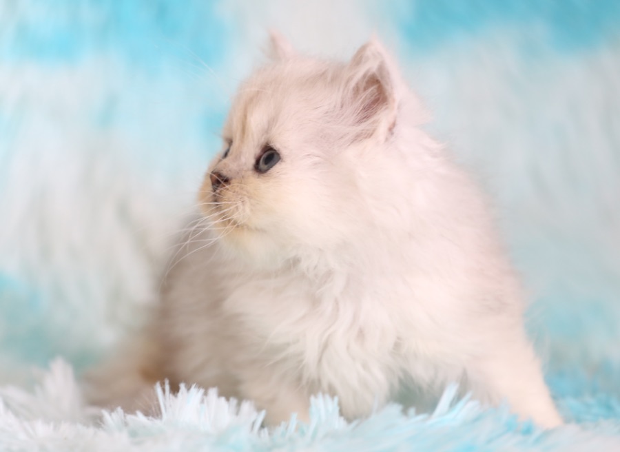 0D5DC05C-6841-4E24-A994-8BE472DAAB7C.png