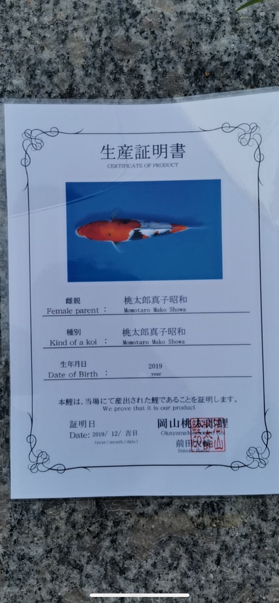 A63332EC-7D05-4FFC-9045-03552B4EE7FD.png
