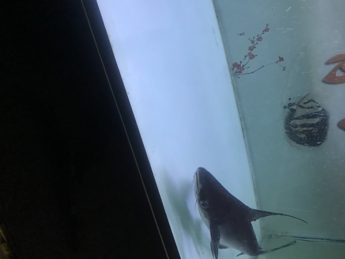 997CB64C-4C40-4D1B-8D3F-446449D2304E.jpeg