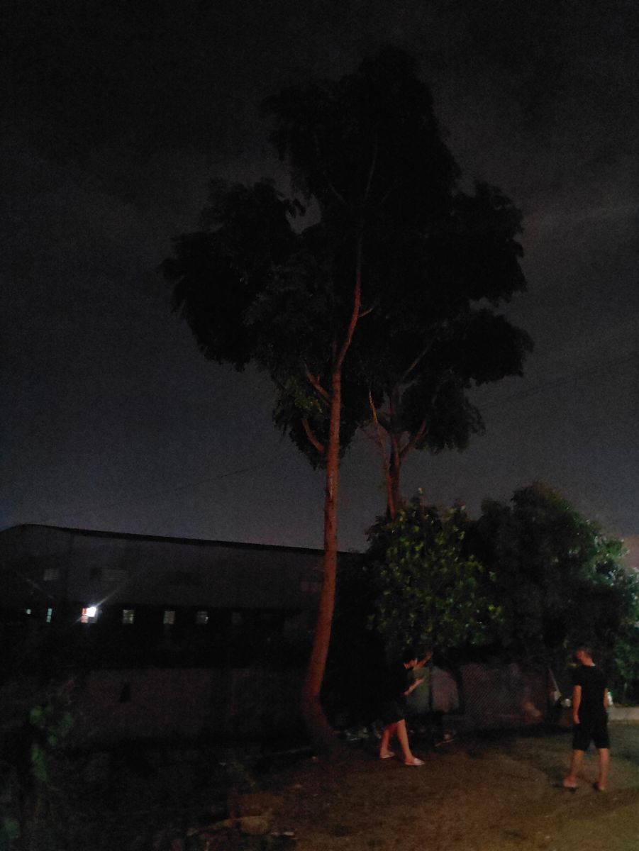 IMG20210628001652.jpg