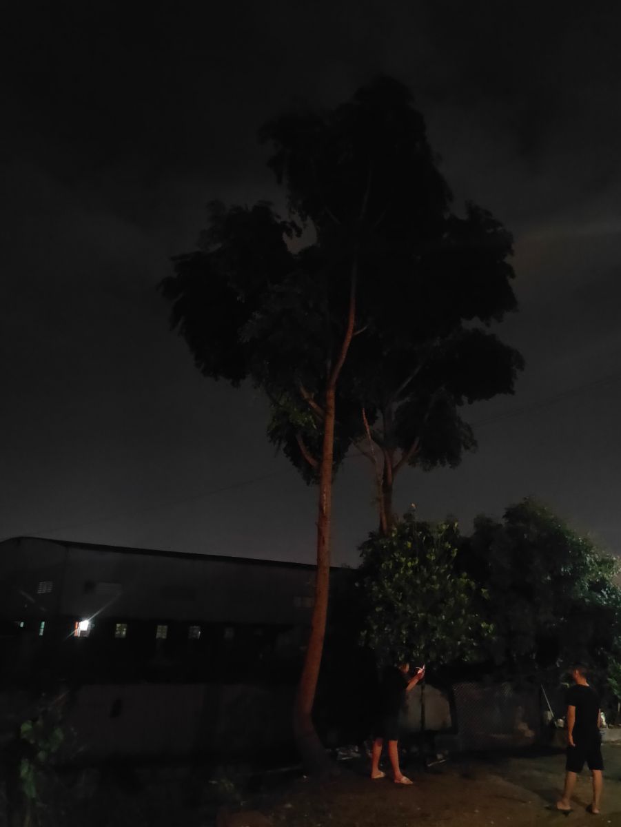 IMG20210628001657.jpg