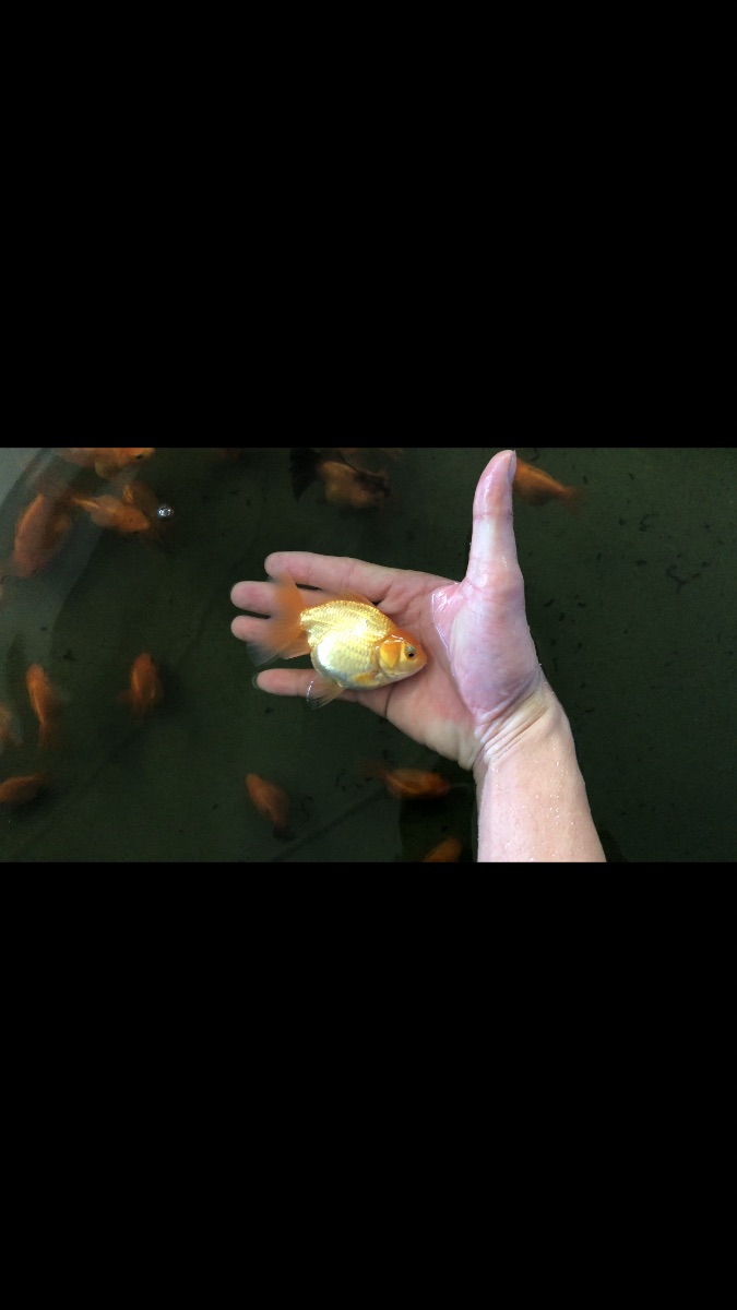 E8046D1E-2756-462C-AD9B-EB8C6EC6BBF6.png