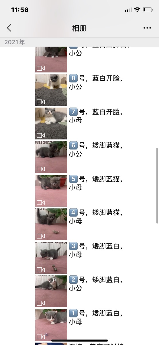 8D5376B3-0FDC-4AE5-8D29-61E31CD603B3.png