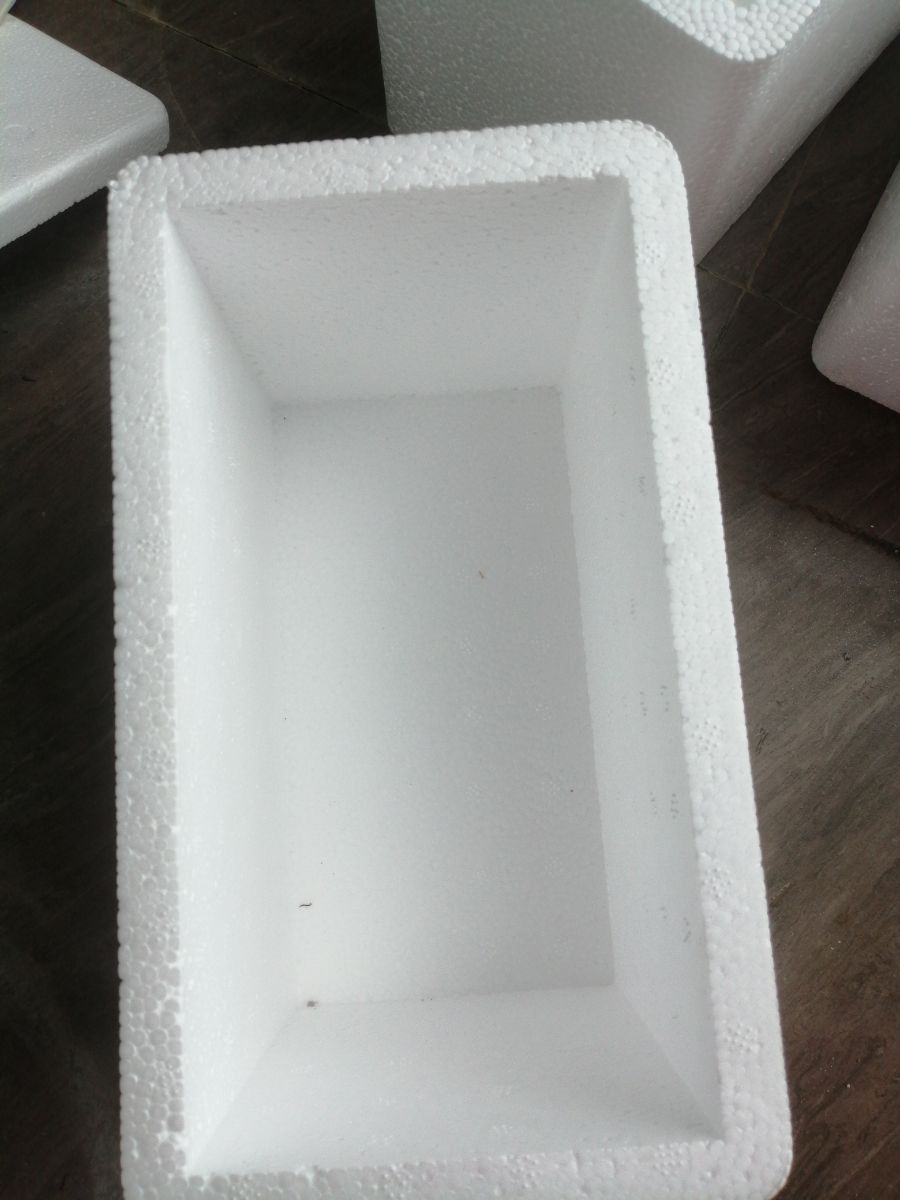 2021-08-09_17.55.15.jpg