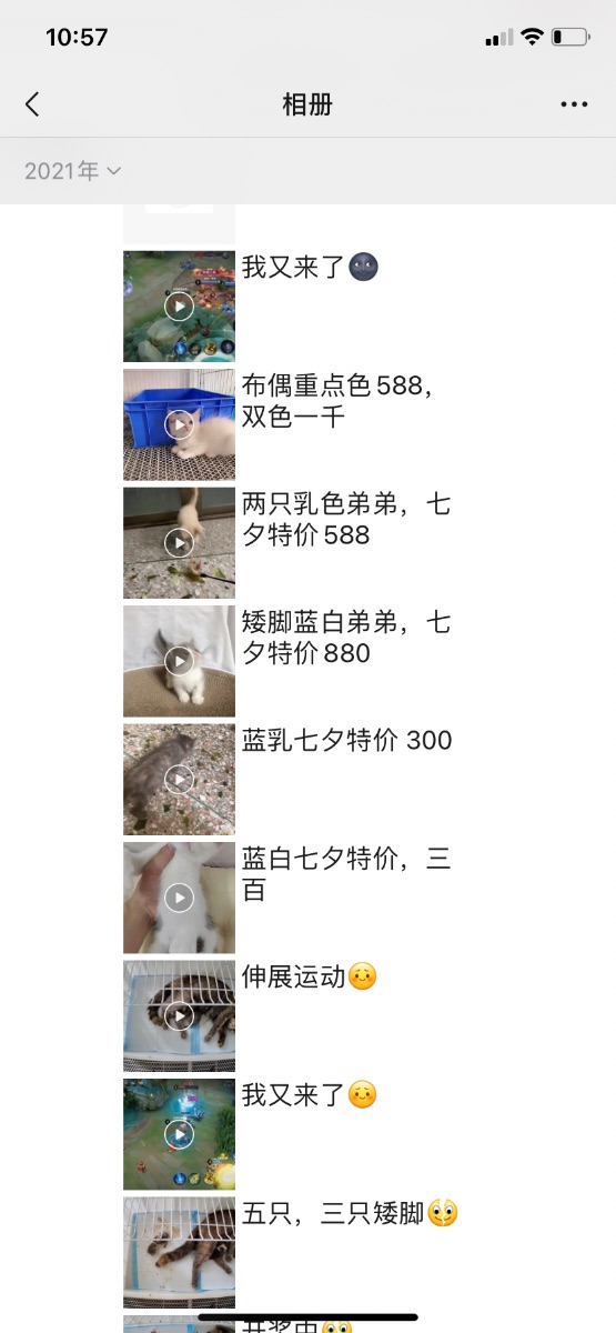 E6053894-B5C7-4934-8F0B-29A759D20429.png