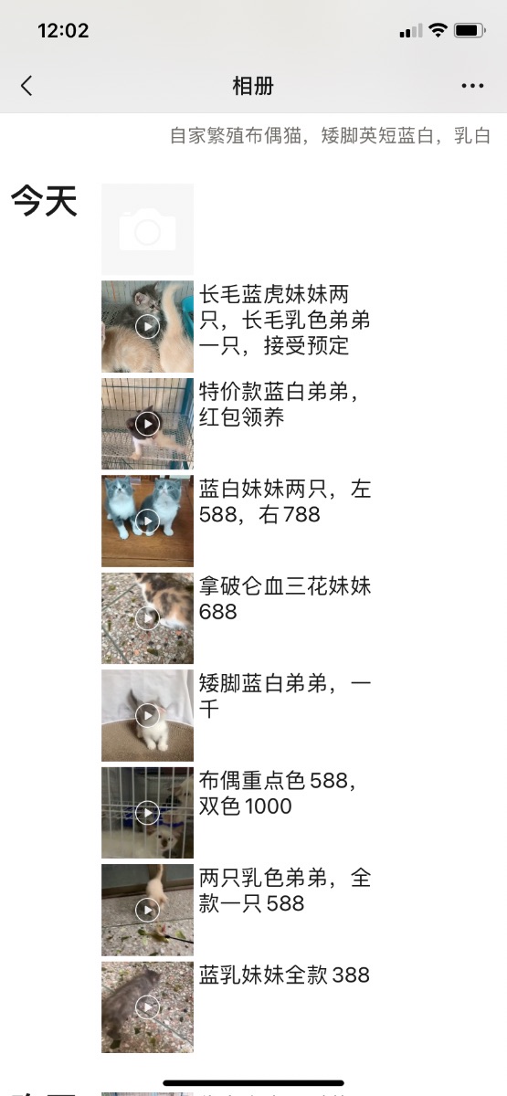 0AE6C1BB-3D44-40CD-A920-4662A28732CD.png