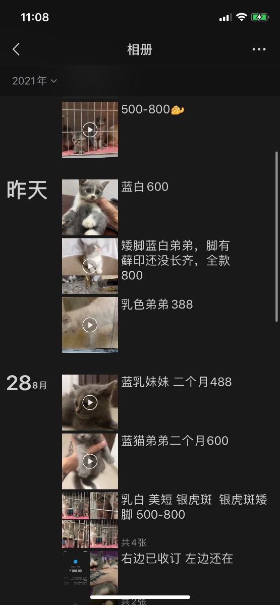 56651EC8-4FF9-43F8-8D62-0695C33E8682.png