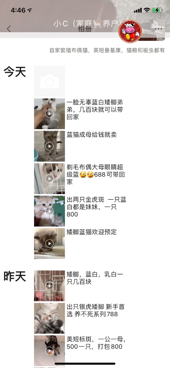 C1C036EB-3836-4E80-8521-94978D79D88F.png