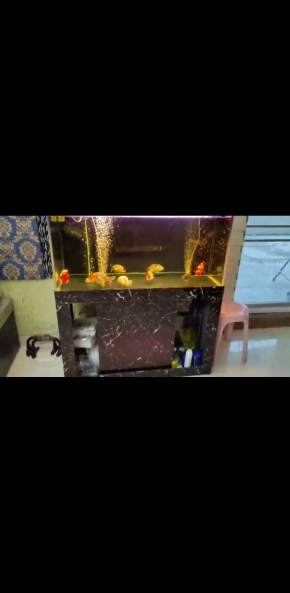 Screenshot_20211110_112807_com.huawei.himovie.jpg