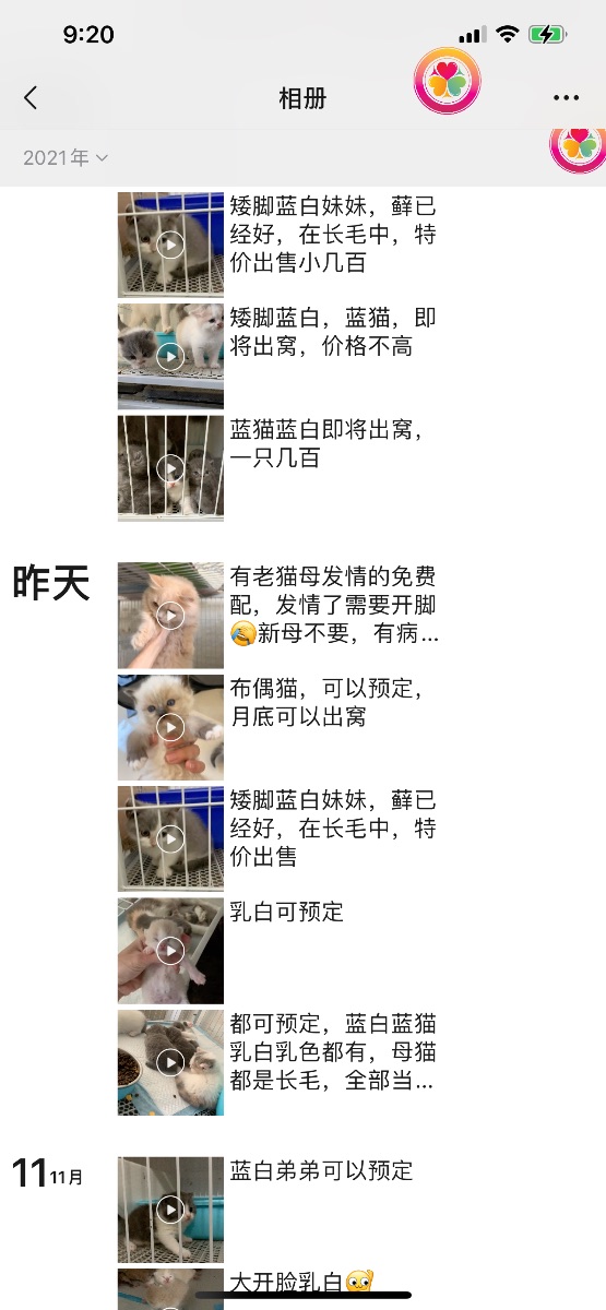 34CFC281-BC44-4BA1-8F1A-99B0554A9C5F.png