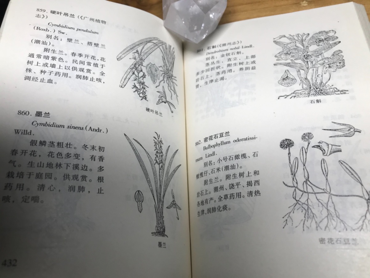 9B1850CB-FCAB-4CE4-8F14-1D387E58648F.jpeg