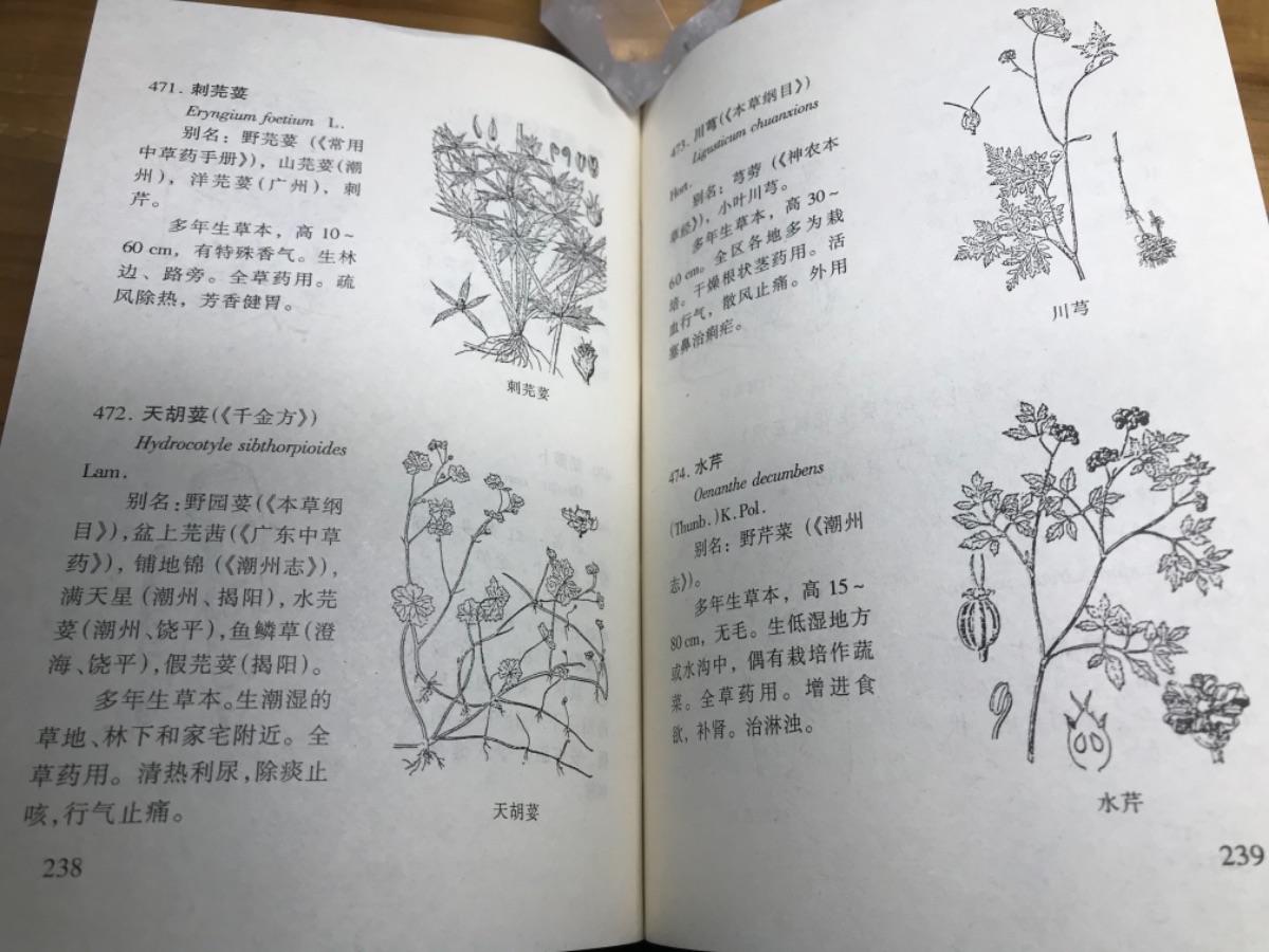 2A49952D-5E45-4A62-A0A2-F36B003D44C6.jpeg