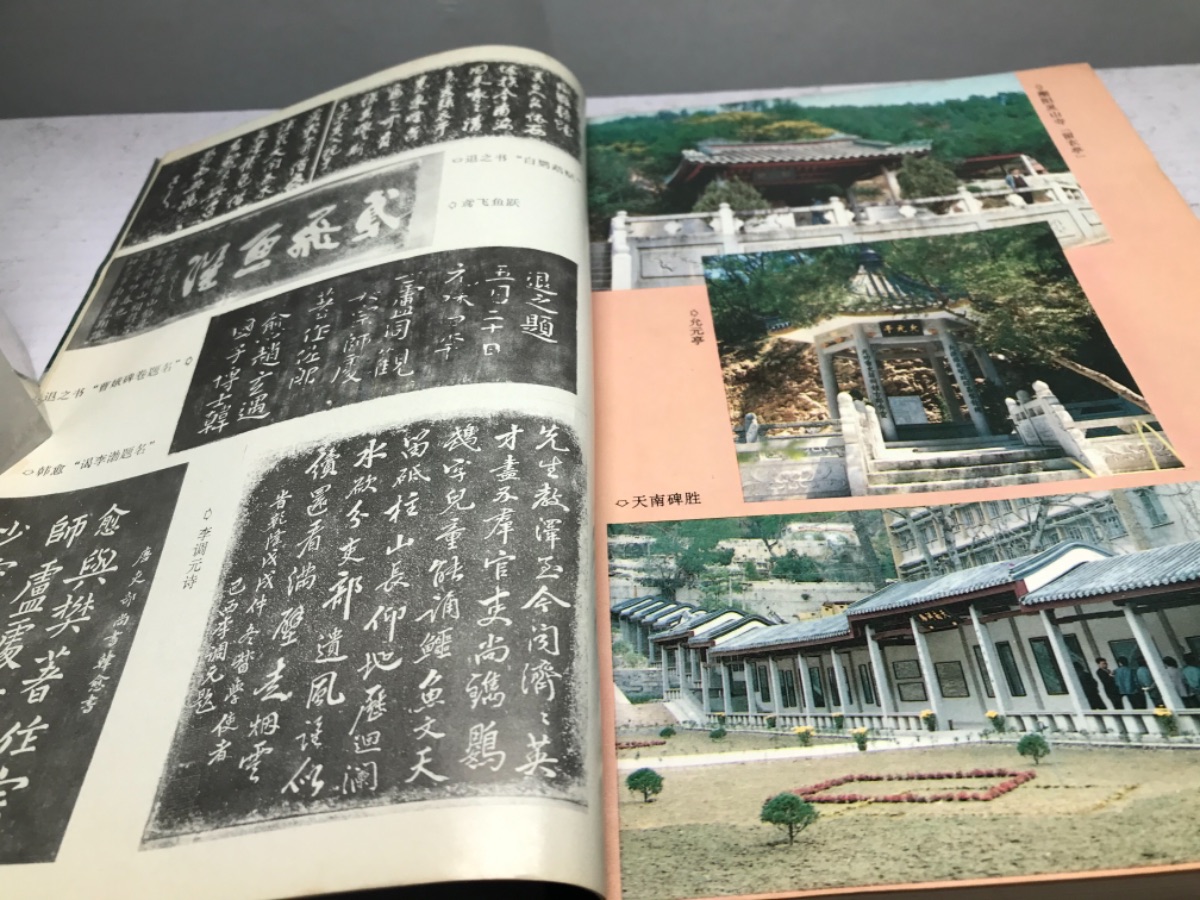 76B3FA42-EEEA-4142-920E-CC25256EC580.jpeg