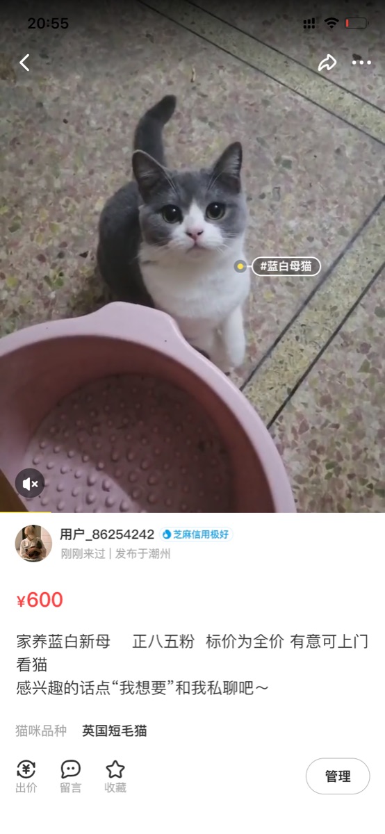 B5A390E5-E8FA-4FA3-AF0D-E35DD331E133.png