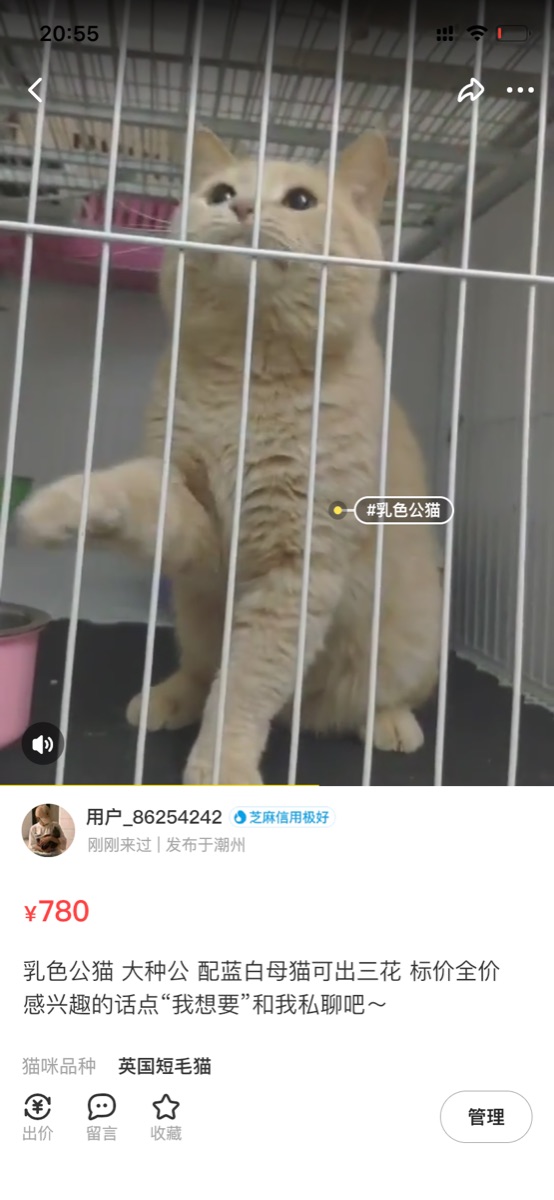 8227035B-57E3-41CF-8433-90985BF725AD.png