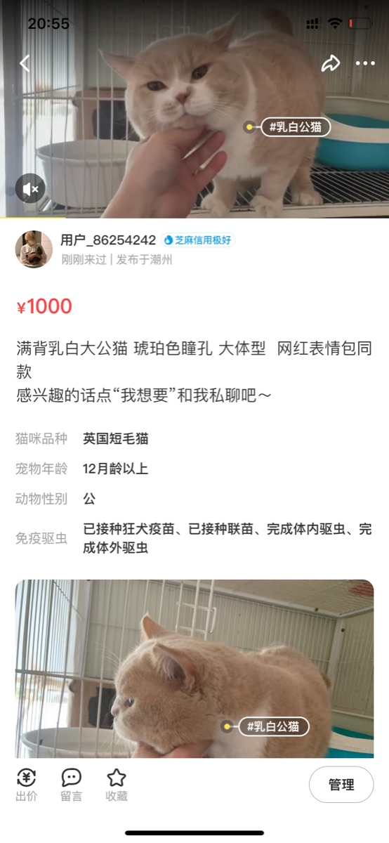 509DA473-E315-4376-98C6-E383500BBD90.png