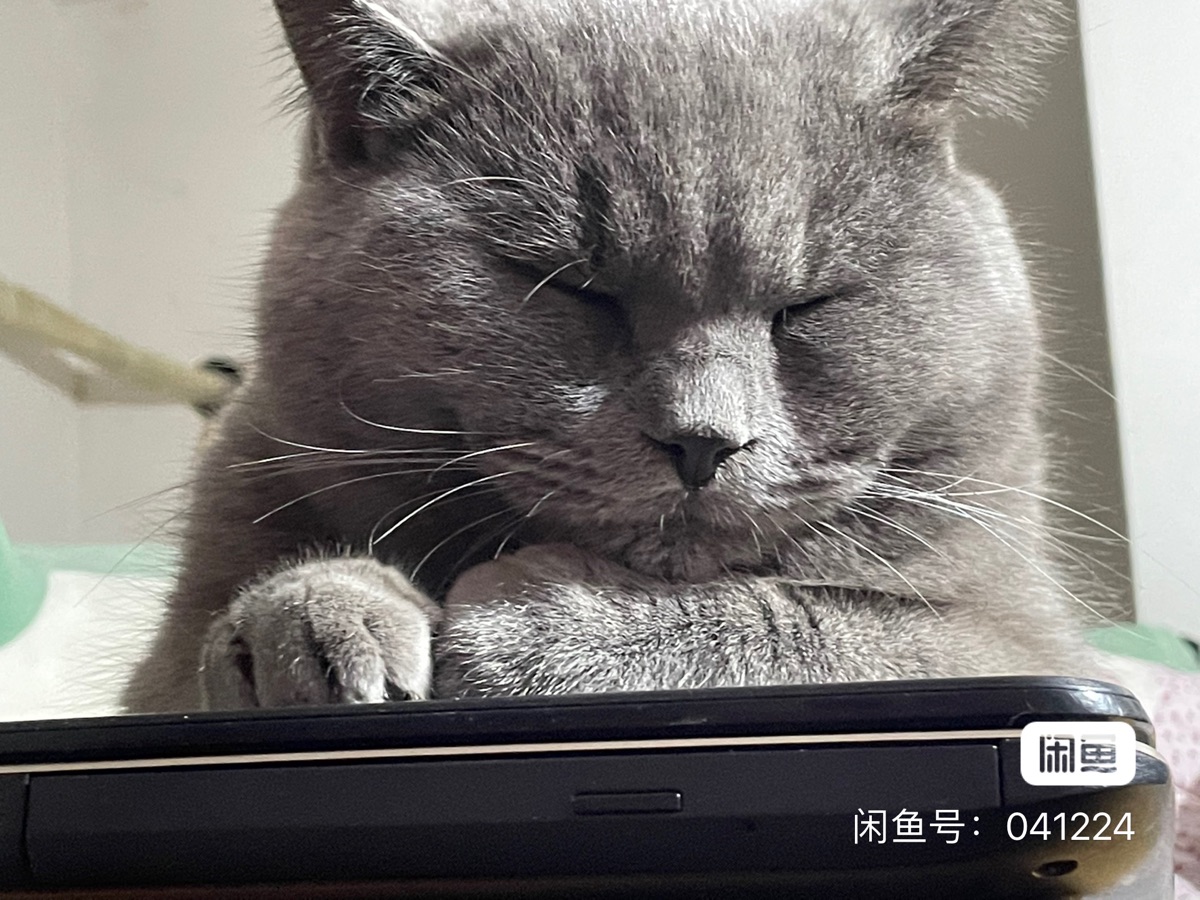 ABCBD054-0DED-4F58-96D7-F5780438ABFC.jpeg