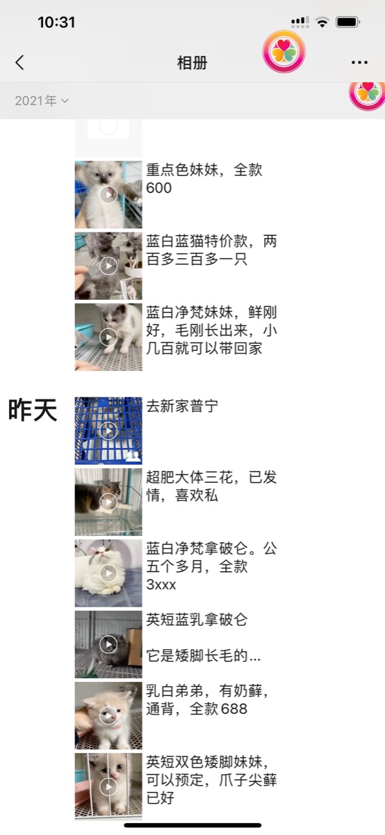 8CF7CFED-FE71-425B-82D0-7D3D834E505E.png