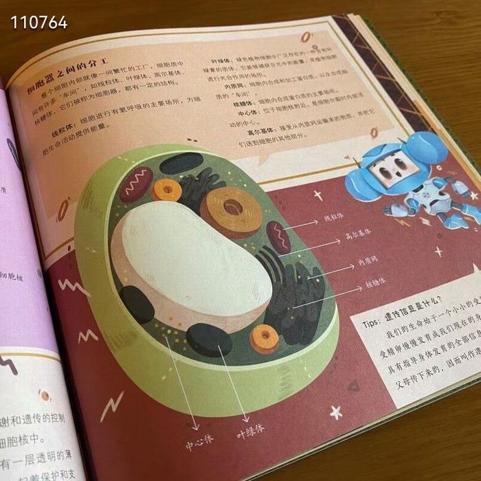 1640228253726.jpg