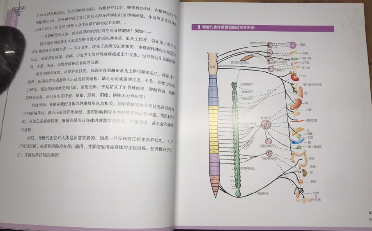 1ED3DC4A-535F-444A-ABF1-700EBE156A91.jpeg