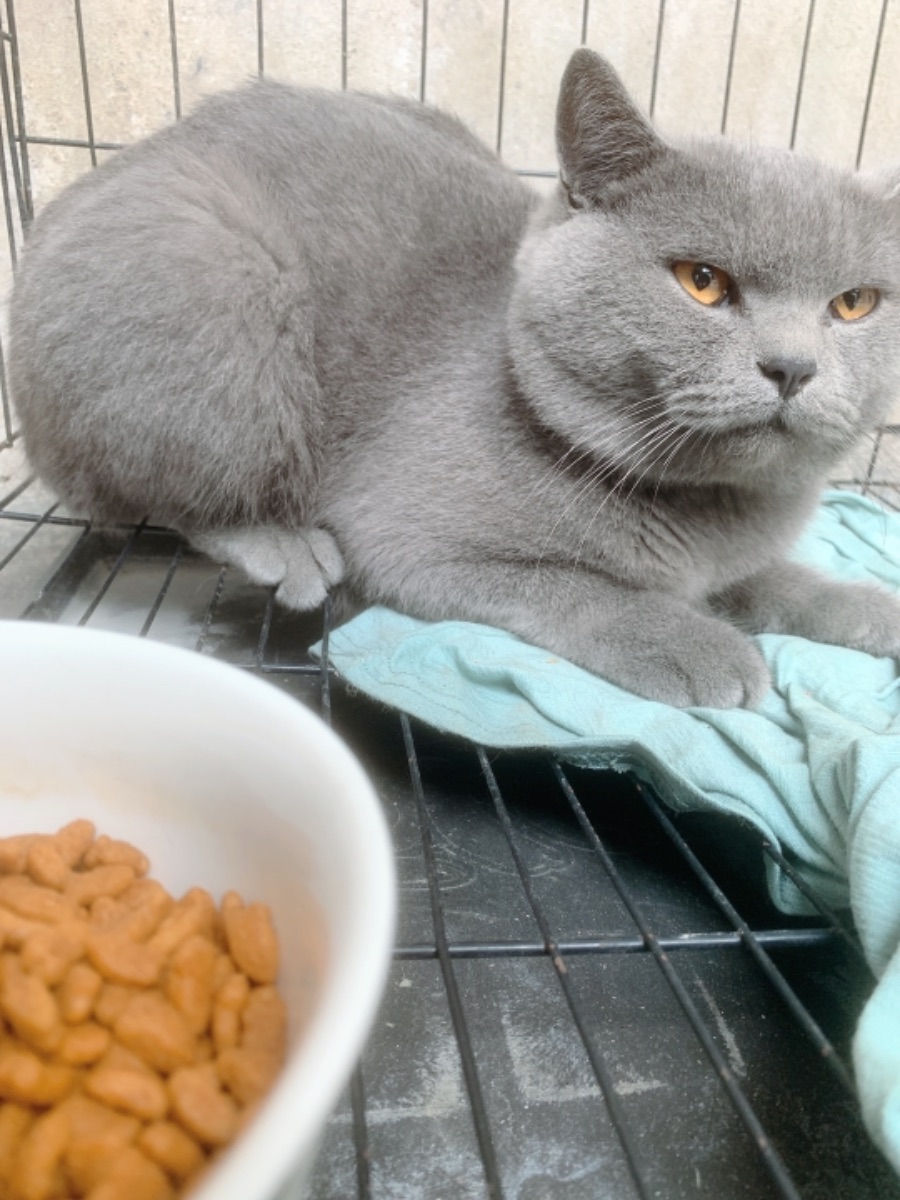 15632E30-F1C7-43B6-B5F3-15D8CA2EC5C3.jpeg