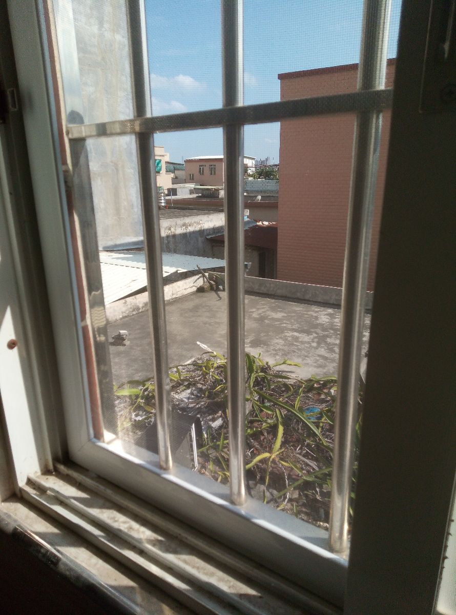 G_20210516170547.jpg