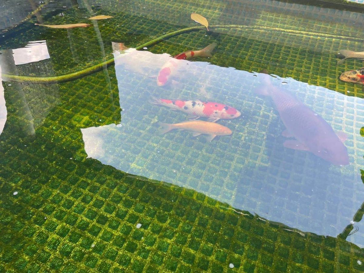 G_20220107132342.jpg