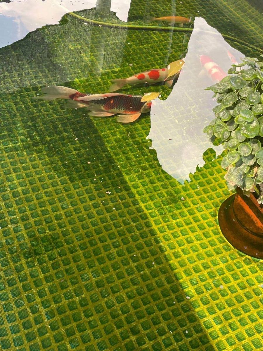 G_20220107132428.jpg
