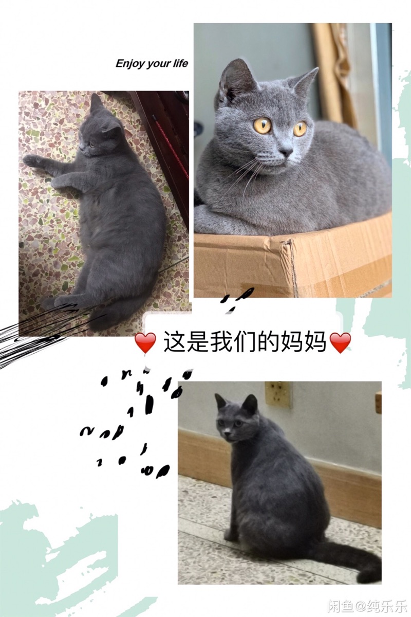 90D40122-BF8B-44E9-A7C6-548B5F4023F9.jpeg