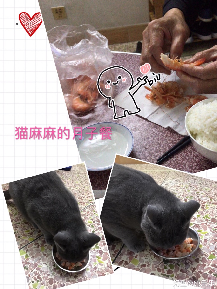 81732465-3B07-48B1-93AB-5DDED25B7051.jpeg
